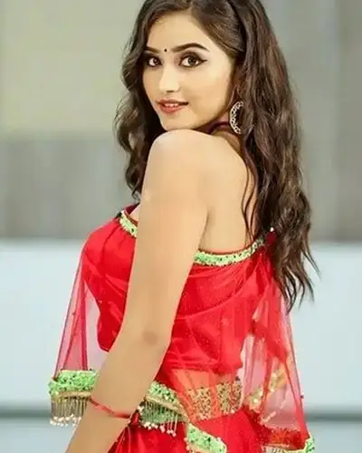 Call Girls Service Palakollu